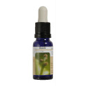 ROBLE ESENCIA 15 ML NESTINAR