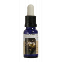 OLMO ESENCIA 15 ML NESTINAR