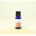 CORAL ESENCIA 15 CC NESTINAR