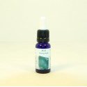 FLUORITA VERDE ESENCIA 15 CC NESTINAR