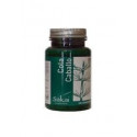 Comprar COLA CABALLO 100 COMP SAKAI online - Farmacia Coliseum