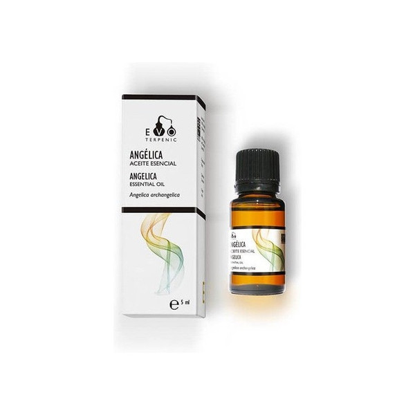 Comprar online ANGELICA 5ML ACEITE ESENCIAL TERPENIC LABS - Coliseum