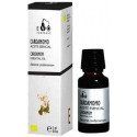 Comprar online CARDAMOMO BIO 5ML ACEITE ESENCIAL TERPENIC LABS