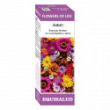 FLOWERS OF LIFE ANIMO EQUISALUD