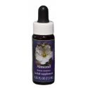 Comprar online E.F. ALMOND 7,5 ML. FES CALIFORNIA - Farmacia Coliseum