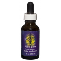 Comprar E.F. ALOE VERA 30 ML FES CALIFORNIA online - Coliseum