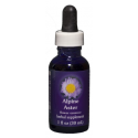 Comprar E.F. ALPINE ASTER 30 ML. FES CALIFORNIA online - Coliseum
