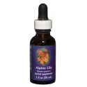 Comprar online E.F. ALPINE LILY 30 ML FES CALIFORNIA - Coliseum