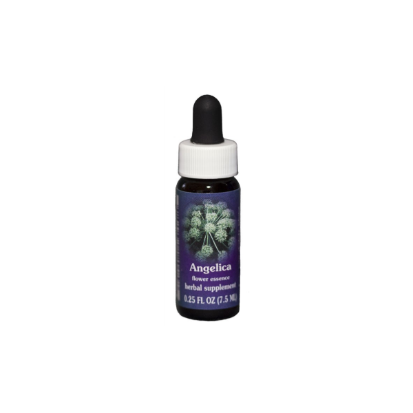 Comprar E.F. ANGELICA 7,5 ML FES CALIFORNIA online - Coliseum