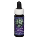 Comprar E.F. ANGELICA 7,5 ML FES CALIFORNIA online - Coliseum