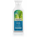 BIOTINA CHAMPU 500 CC JASON