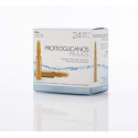 PROTEOGLICANOS 24 AMP 2CC PRAXIS