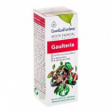 ACEITE ESENCIAL DE GAULTERIA 10 ML (GAULTHERIA PROCUMBENS) ESENTIAL AROMS INTERSA