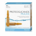 PROTEOGLICANOS 6 AMP 2ML PRAXIS