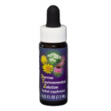 Comprar online E.F. YARROW SPECIAL 7,5 ML FES CALIFORNIA - Coliseum