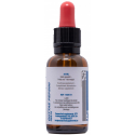 GUTTAE PEPSIN  30 ML NUTRINED