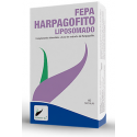 FEPA HARPAGOFITO LIPOSOMADO 40 CAP FEPADIET