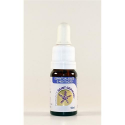 GERMAIN ESPIRITUALIDADE E MEDITAÇAO 15ML