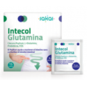 INTECOL GLUTAMINA 15 SOBRES SAKAI