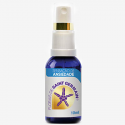 SAINT GERMAIN ANSIEDADE 10 ML