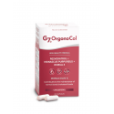 ORGONO-COL(COLESTEROL) 700MG 90 CAP. SILICIUM ESPAÑA