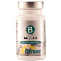 BASE 4C ERLINGEN