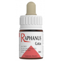 RAPHANUS GOTAS 30 ML