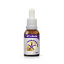 SAINT GERMAIN ROSA ROSA 10 ML.