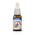 SAINT GERMAIN PROTECCION 10 ML.