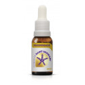 SAINT GERMAIN PROSPERIDAD 10 ML.