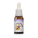 SAINT GERMAIN FORMULA LEUCANTHA 10 ML.