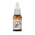 SAINT GERMAIN FORMULA DEL ESTUDIANTE 10 ML.