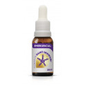 SAINT GERMAIN EMERGENCIAL 20 ML.