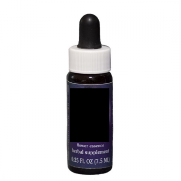 Comprar online E.F. APRICOT 7,5 ML. FES CALIFORNIA - Coliseum