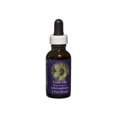 Comprar online E.F. CORN LILY 30 ML. FES CALIFORNIA - Coliseum