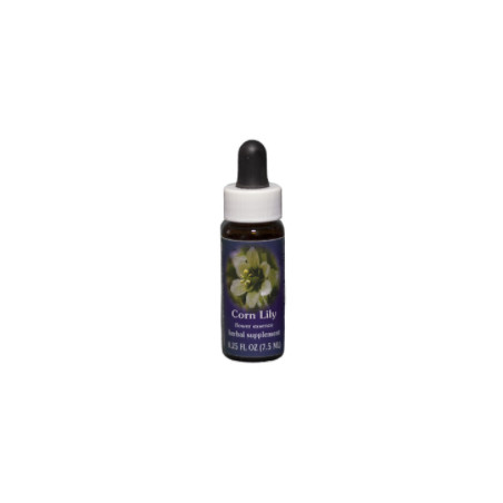 Comprar online E.F. CORN LILY 7,5 ML. FES CALIFORNIA - Coliseum