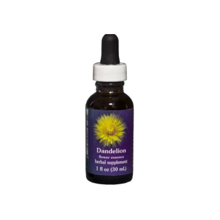 Comprar online E.F. DANDELION 30 ML FES CALIFORNIA - Coliseum