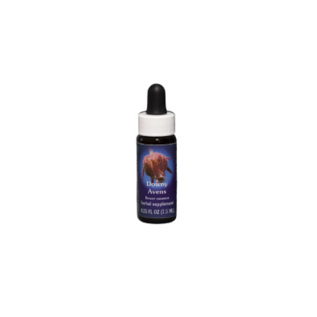 Comprar online E.F. DOWNY AVENS 7,5 ML. FES CALIFORNIA - Coliseum