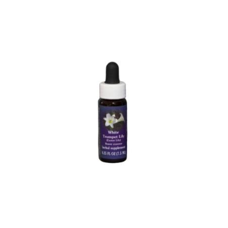 Comprar E.F. EASTER LILY 7,5 ML FES CALIFORNIA online - Coliseum