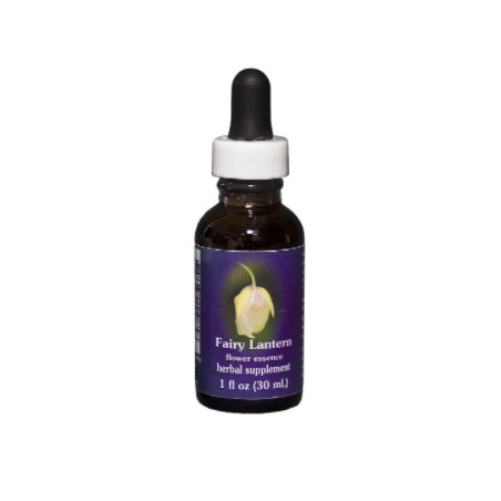 Comprar E.F. FAIRY LANTERN 30 ML FES CALIFORNIA online - Coliseum