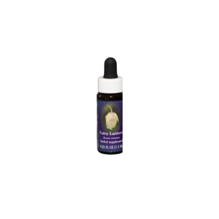 Comprar online E.F. FAIRY LANTERN 7,5 ML FES CALIFORNIA - Coliseum