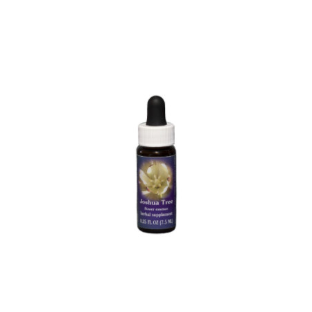 Comprar online E.F. JOSHUA TREE 7,5 ML. FES CALIFORNIA - Coliseum