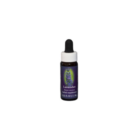 Comprar online E.F. LAVENDER 7,5 ML FES CALIFORNIA - Coliseum