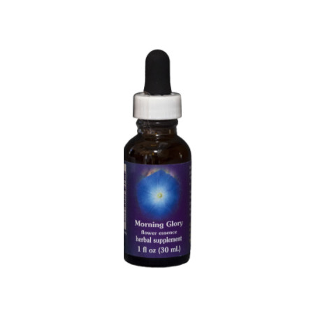 Comprar online E.F. MORNING GLORY 30 ML FES CALIFORNIA - Coliseum