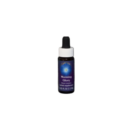 Comprar online E.F. MORNING GLORY 7,5 ML FES CALIFORNIA - Coliseum