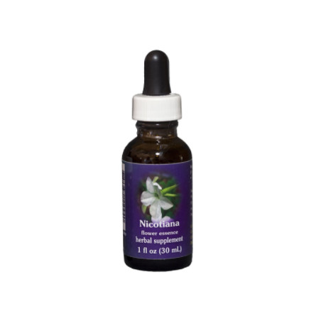 Comprar online E.F. NICOTIANA 30 ML FES CALIFORNIA - Coliseum