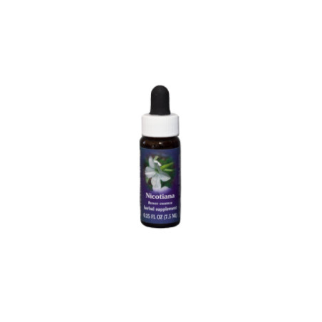 Comprar online E.F. NICOTIANA 7,5 ML FES CALIFORNIA - Coliseum