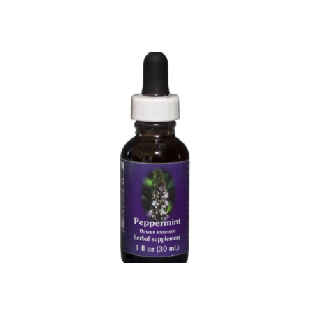 Comprar online E.F. PEPPERMINT 30 ML FES CALIFORNIA - Coliseum