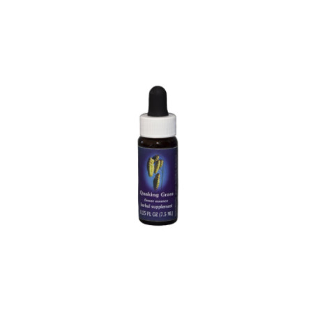 Comprar online E.F. QUAKING GRASS 7,5 ML FES CALIFORNIA - Coliseum
