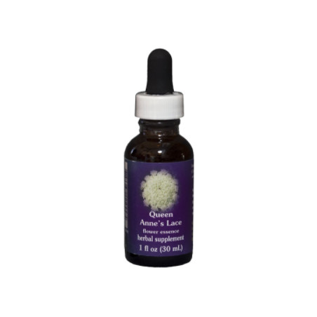 Comprar online E.F. QUEEN ANNE*S 30 ML FES CALIFORNIA - Coliseum